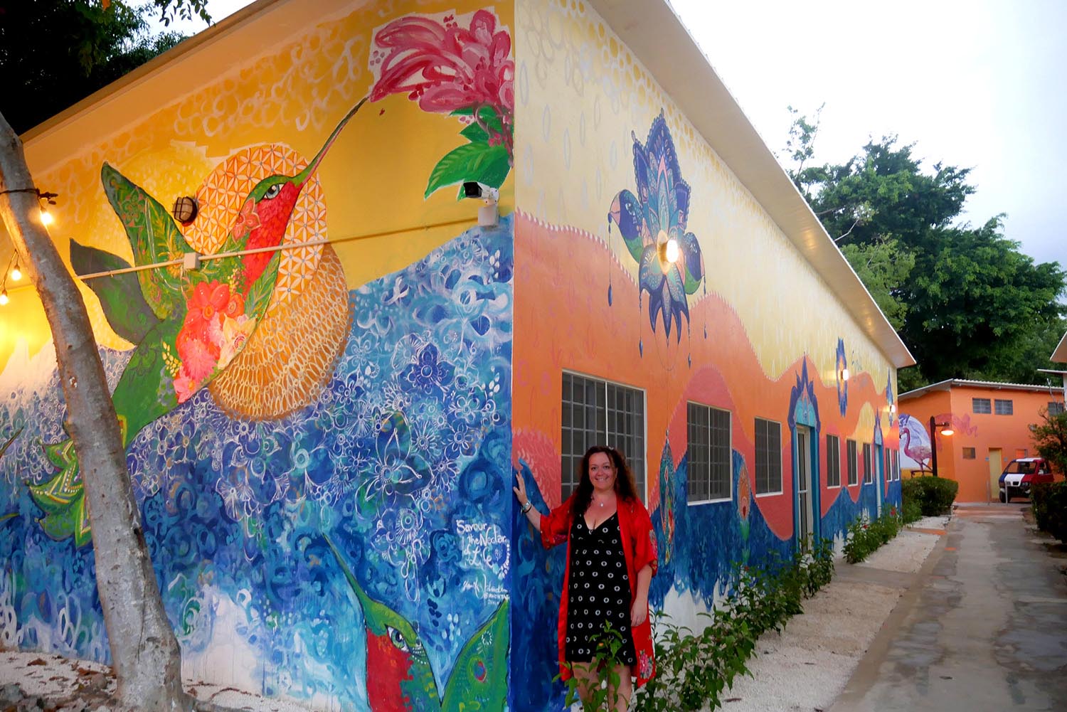 Mural Punta Cana Smile Team Center Yanik