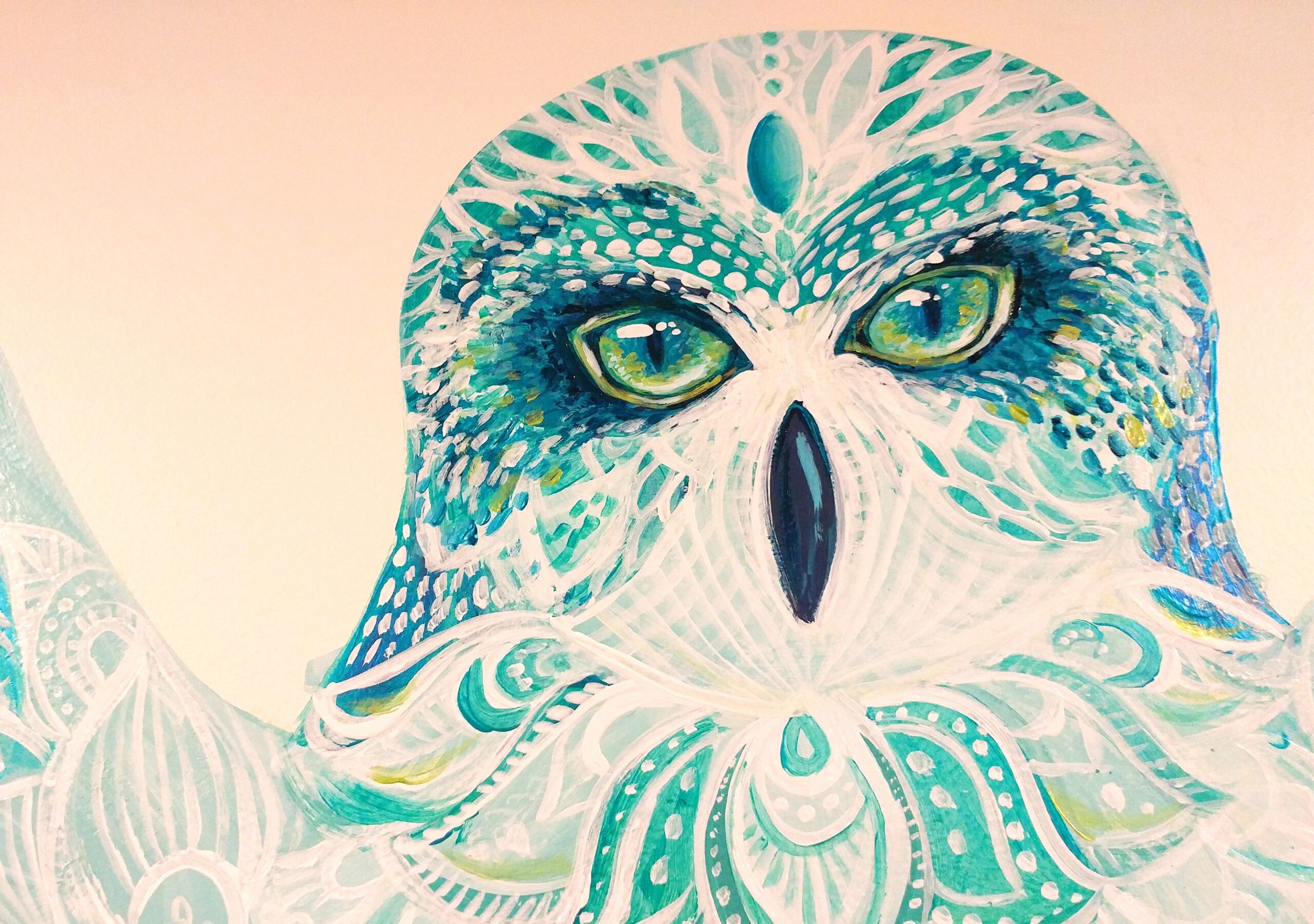 Hakini Owl Closeup